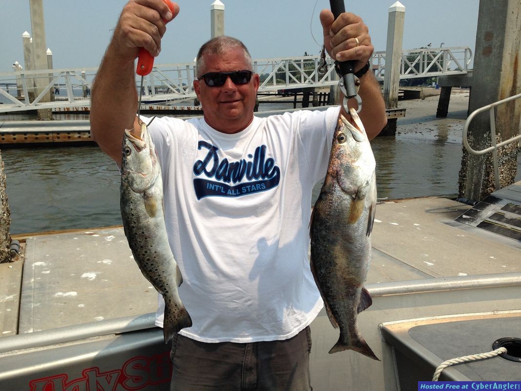SPECKLED SEA TROUT