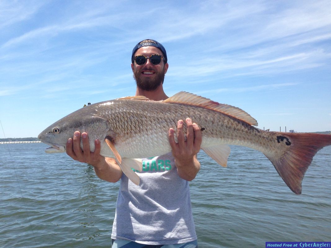 REDFISH