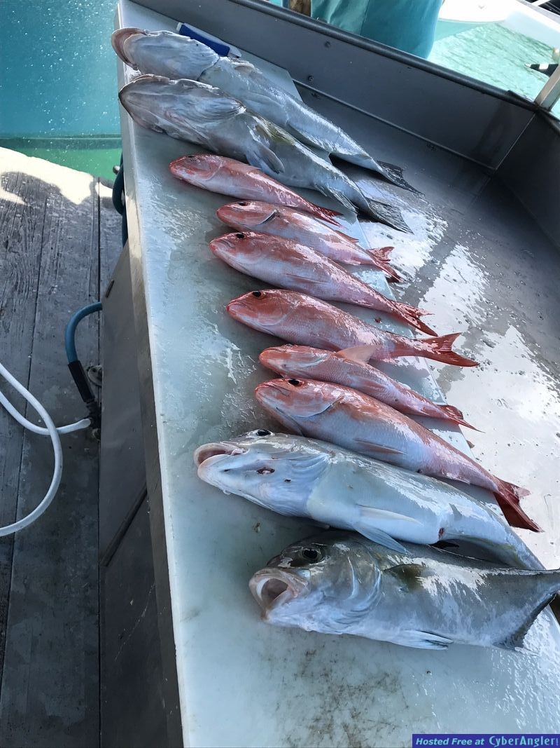 Fishing Key West, FL