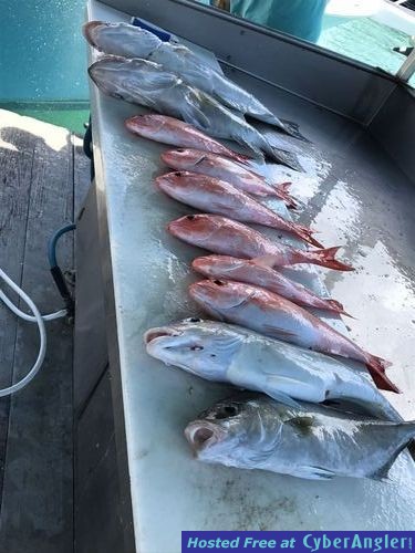 Fishing Key West, FL