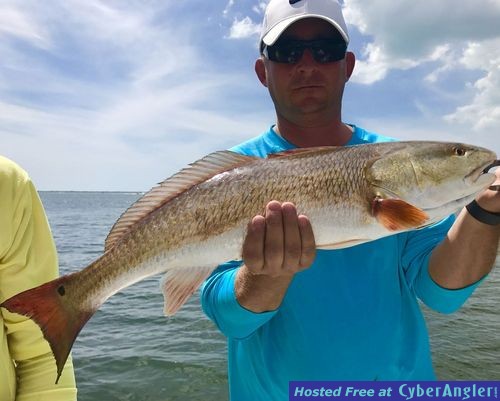 Fishing Tarpon Springs, FL