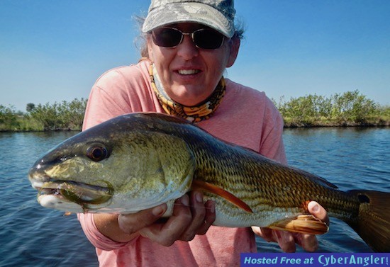 redfish mosquito lagoon
