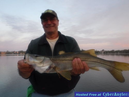 Click to Enlarge Photo