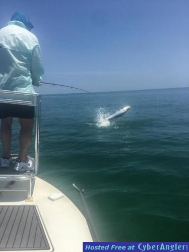 Click to Enlarge Photo