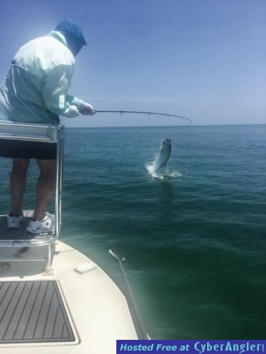 Click to Enlarge Photo