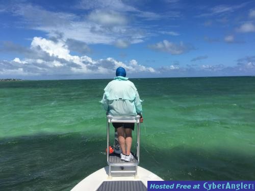 Click to Enlarge Photo