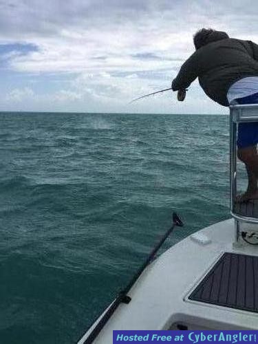 Click to Enlarge Photo