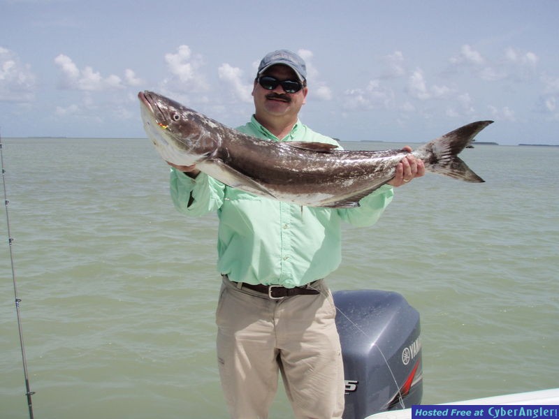 Darrel and cobia