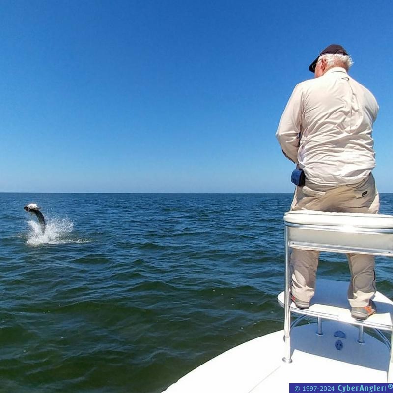 Jerry Tarpon on fly