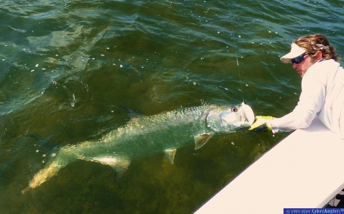 Kyle and the Tarpon