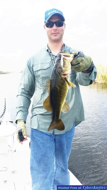 Click to Enlarge Photo