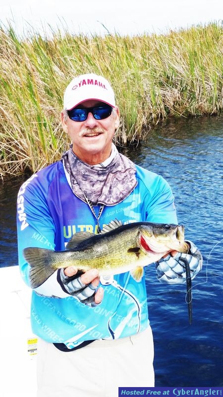 Click to Enlarge Photo