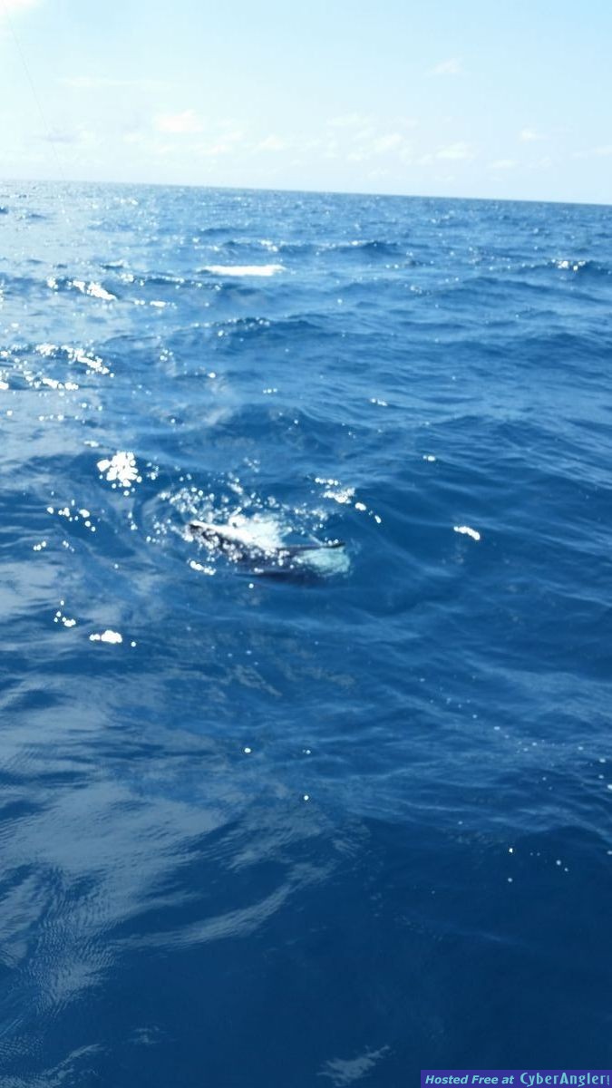 Click to Enlarge Photo