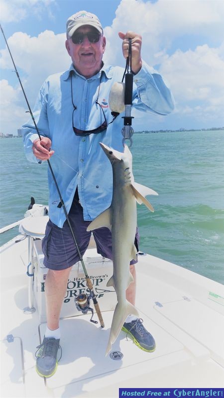 Click to Enlarge Photo