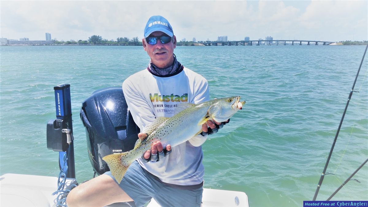 Click to Enlarge Photo