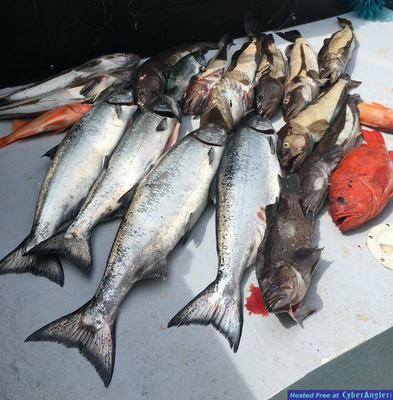 Catch of the day