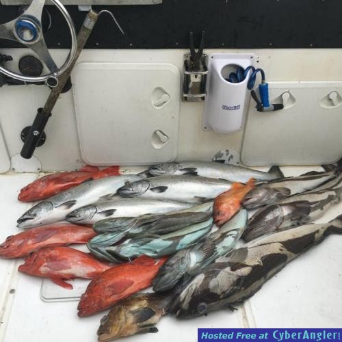 Click to Enlarge Photo