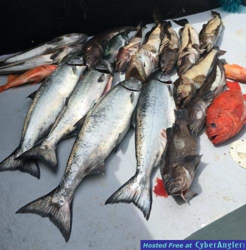 Click to Enlarge Photo