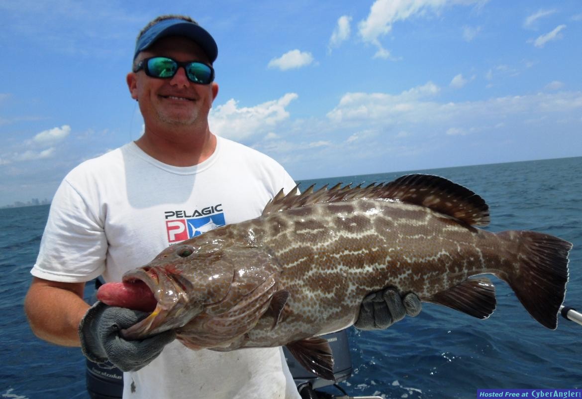 Click to Enlarge Photo