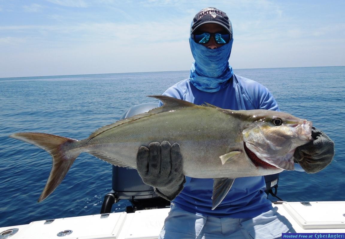 Click to Enlarge Photo