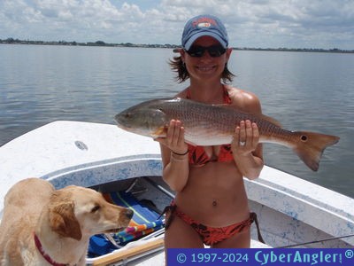 Click to Enlarge Photo