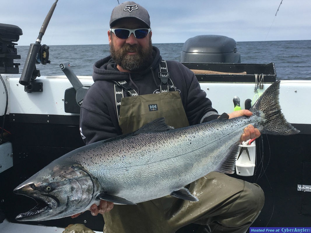 Salmon
