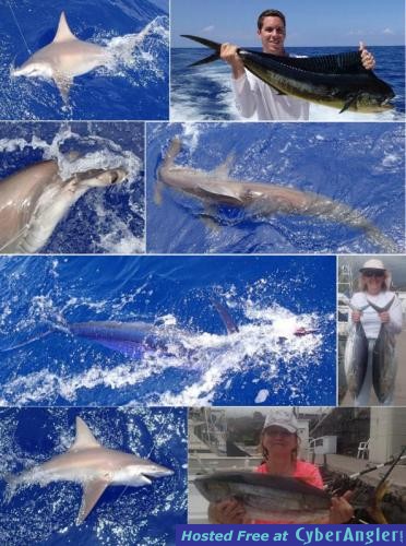 Click to Enlarge Photo