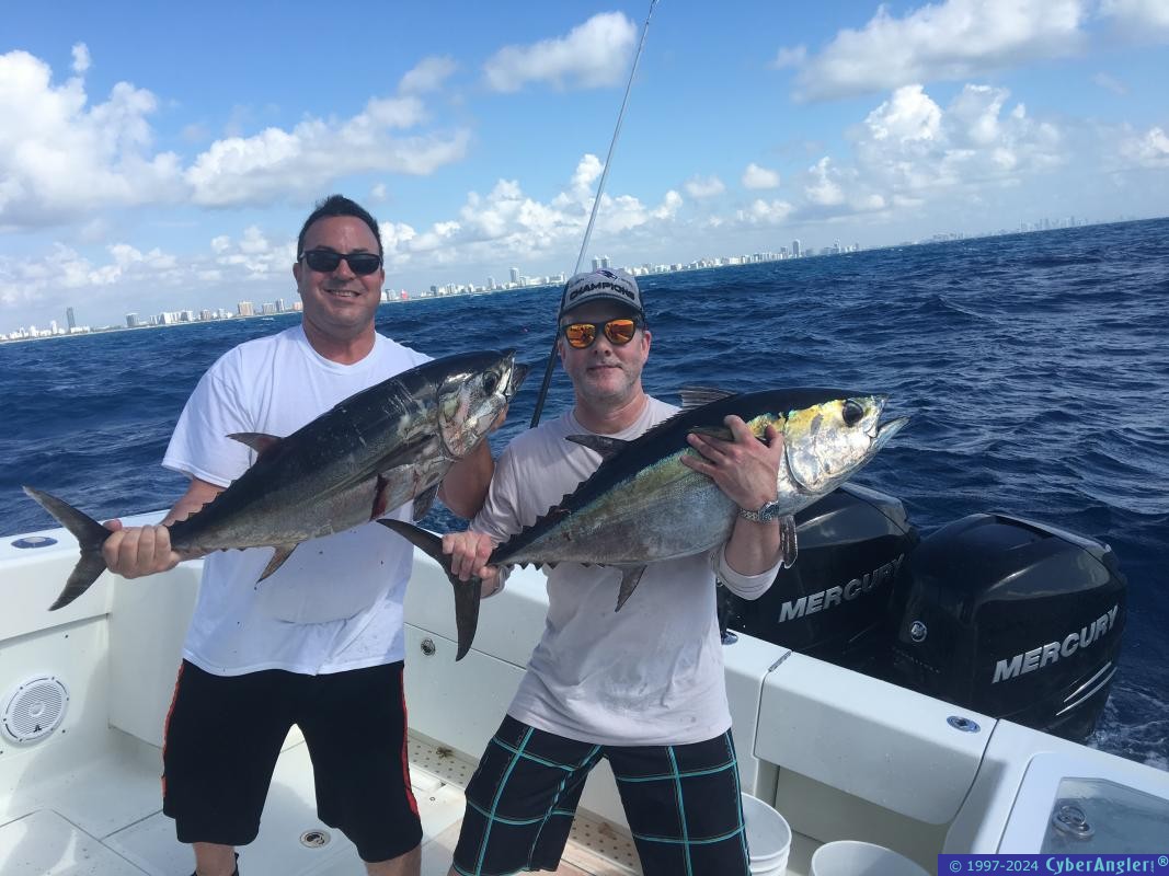 Click to Enlarge Photo