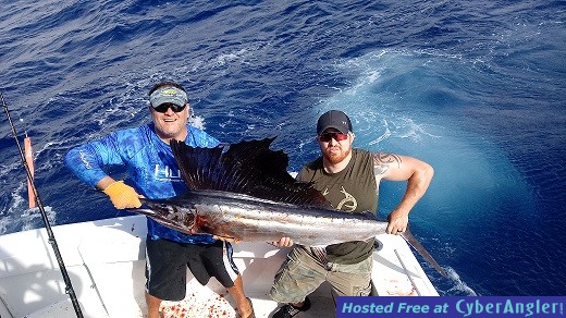 Sailfish Gregg