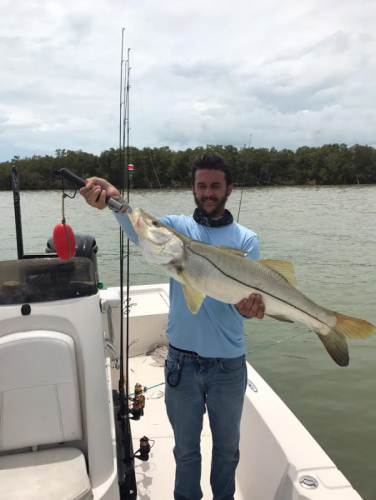 Click to Enlarge Photo