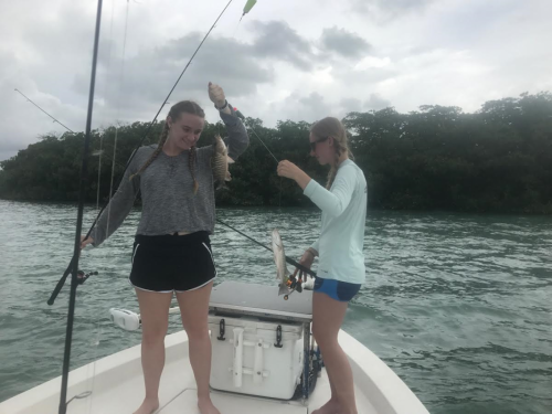 Click to Enlarge Photo