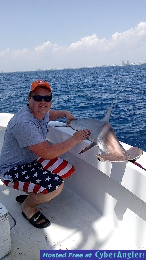 Shark Jeff