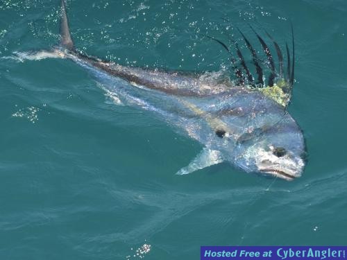 Click to Enlarge Photo