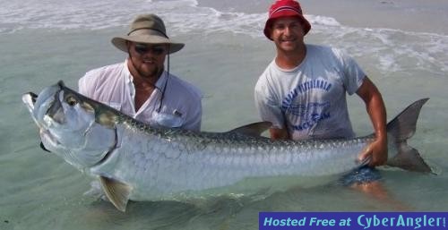 tarpon_2