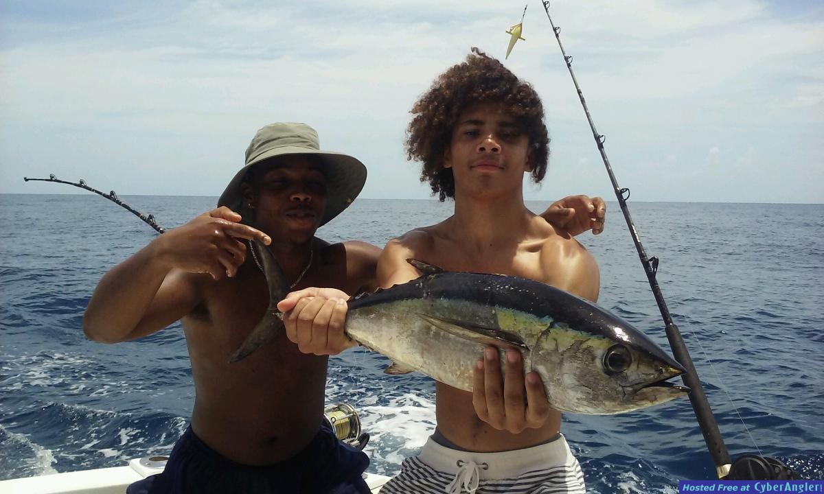 Click to Enlarge Photo