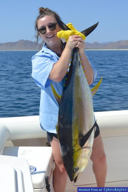 Click to Enlarge Photo