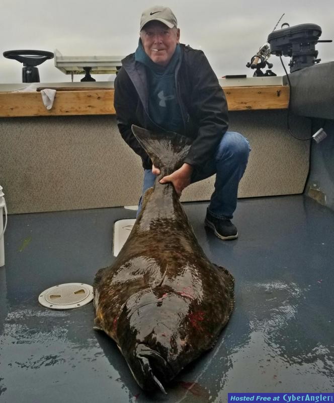 July1_halibut_1200