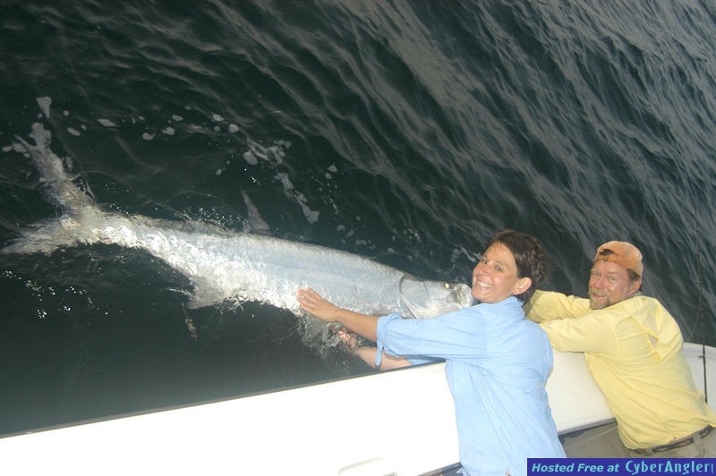 Liz Stallard's tarpon
