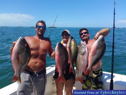 Click to Enlarge Photo