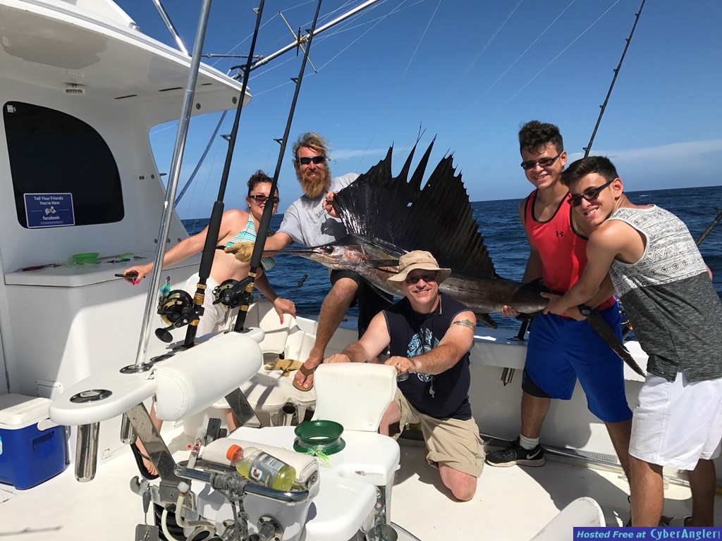 Brian__s Sailfish