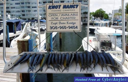 Click to Enlarge Photo