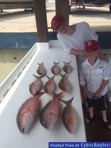 Snapper Fishing