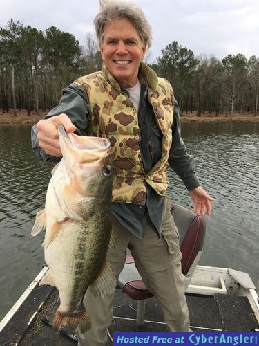 Big, Summertime Ten Pound Largemouth Bass, Caught on a Ten Inch Texas Rigge