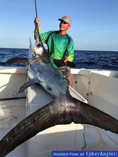 Click to Enlarge Photo