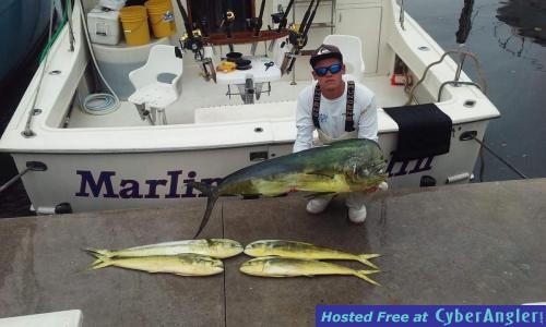 Click to Enlarge Photo