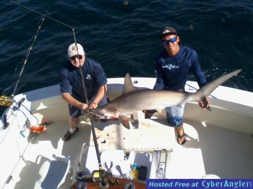 Click to Enlarge Photo