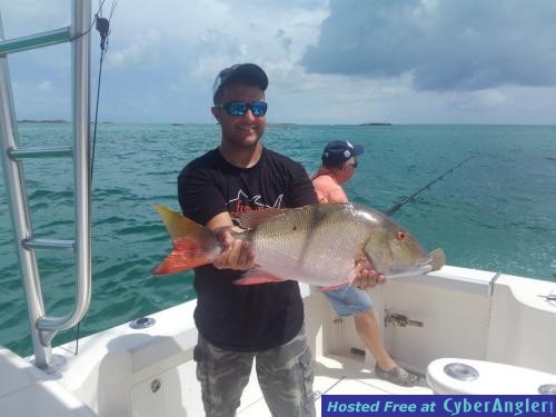 Click to Enlarge Photo