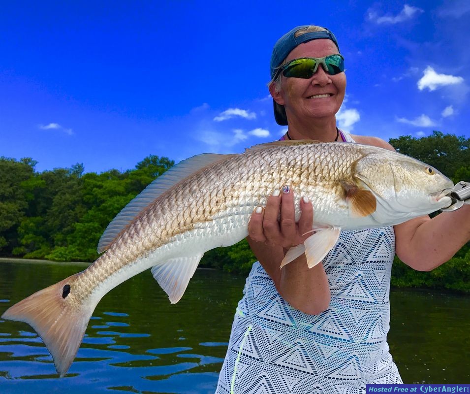 Fishing Tampa Bay &amp; Tarpon Springs