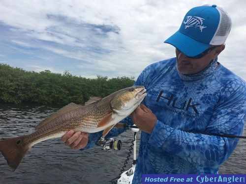 Redfish