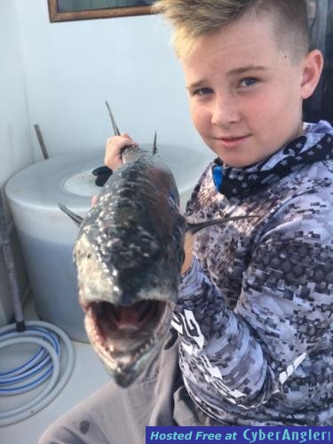 Click to Enlarge Photo